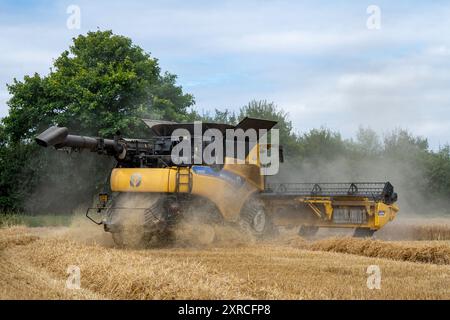 Mietitrebbia a doppio rotore New Holland CR9.90 Otley Suffolk Foto Stock