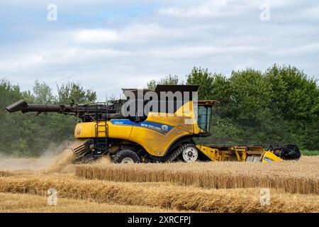 Mietitrebbia a doppio rotore New Holland CR9.90 Otley Suffolk Foto Stock