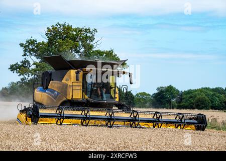 Mietitrebbia a doppio rotore New Holland CR9.90 Otley Suffolk Foto Stock