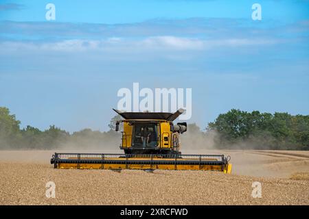 Mietitrebbia a doppio rotore New Holland CR9.90 Otley Suffolk Foto Stock