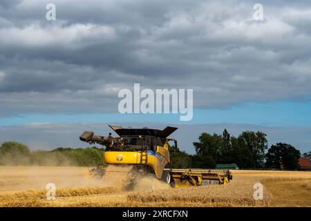 Mietitrebbia a doppio rotore New Holland CR9.90 Otley Suffolk Foto Stock