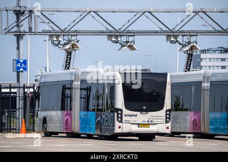 Schnellladestation für Elektrobusse am Flughafen Amsterdam Schiphol, Die gesamte flotte der Personentransport busse ist elektrisch, über 200 Fahrzeuge, in Fahrpausen werden die busse wieder aufgeladen, über einen Dachstromabnehmer, Fahrzeuge des Verkehrsunternehmen Connexxion, Niederlande Elektrobusse AMS, stazione di ricarica per gli autobus elettrici l'intera flotta di autobus per il trasporto passeggeri è elettrica, oltre 200 veicoli, gli autobus vengono ricaricati durante le pause, tramite un pantografo montato sul tetto, veicoli della società di trasporto Connexxion, Netherlands Electric bu Foto Stock