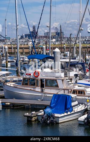 Porto marittimo Marina IJmuiden, Sportboothafen, Segelboote, Yachten, hinten das Tata Steel Stahl- und Hüttenwerk in IJmuiden, Velsen, Nordholland, Niederlande, größtes Industriegebiet in den Niederlanden, 2 Hochöfen, 2 Kokereien, Walzwerke, direkt an der Nordsee, Strandhäuser bei Ijmuiden aan Zee, Ijmuiden, Imuiden, barche a vela, marina ** dietro l'acciaieria Tata Steel e la fonderia di IJmuiden, Velsen, Olanda settentrionale, Paesi Bassi, la più grande area industriale dei Paesi Bassi, 2 altiforni, 2 cokerie, laminatoi, direttamente sul Mare del Nord, case sulla spiaggia di Ijmuid Foto Stock