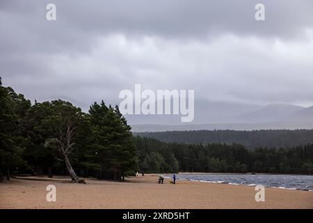 Aviemore, Scozia, Regno Unito. 4 luglio 2024. Con una splendida spiaggia di sabbia, Loch Morlich è un lago di acqua dolce nell'area di Badenoch e Strathspey delle Highland, Scozia vicino ad Aviemore e nel Parco Nazionale di Cairngorm, nelle Highlands scozzesi. (Credit Image: © Ruaridh Stewart/ZUMA Press Press Wire) SOLO PER USO EDITORIALE! Non per USO commerciale! Foto Stock