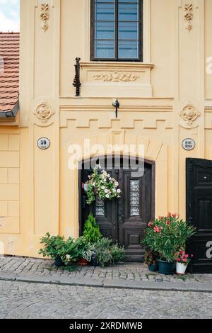 La vibrante entrata presenta due porte a contrasto adornate con splendide composizioni floreali. La vegetazione lussureggiante e le piante in vaso incorniciano la porta, en Foto Stock