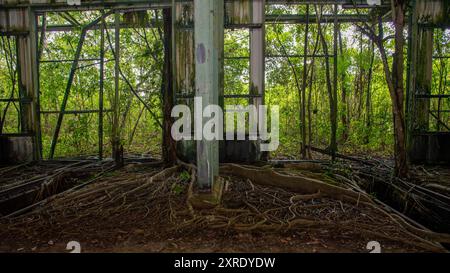 Apoera Railwaystation Suriname non ha mai usato e abbandonato lasciando 300 milioni di fiorini nella giungla Foto Stock