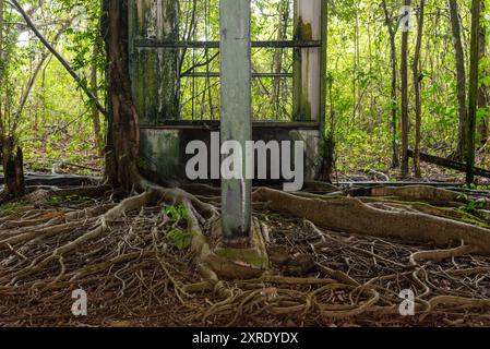 Apoera Railwaystation Suriname non ha mai usato e abbandonato lasciando 300 milioni di fiorini nella giungla Foto Stock