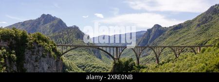 Vista aerea sul ponte ad arco di Djurdjevica sul fiume Tara nel Montenegro settentrionale, Foto Stock