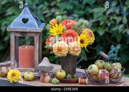 composizione floreale con dalie arancioni e gialle, girasoli, carote selvatiche, cardo ed erbe, lanterne rustiche e mele in un cesto Foto Stock