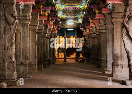 Passaggio al Tempio di Sri Minakshi, Madurai, Tamil Nadu, India Foto Stock