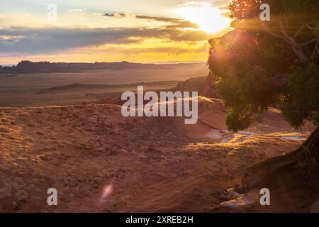 Una splendida vista del tramonto dal Devils Garden Trail nell'Arches National Park, Utah. Le aspre formazioni rocciose rosse e l'ampio paesaggio desertico sono illum Foto Stock