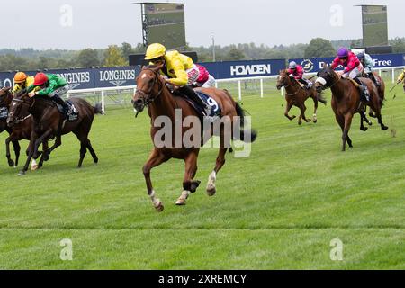 Ascot, Regno Unito. 10 agosto 2024. HOLKHAM BAY (No 9) guidata dal fantino Rachel Venniker (sete gialle e berretto) vince il Dubai Duty Free Shergar Cup Dash (handicap di Classe 2) alla Dubai Duty Free Shergar Cup and Concert all'Ascot Racecourse nel Berkshire. Il proprietario Norfolk Thoroughbreds. Allenatore William Knight, Newmarket, allevatore Hellwood Stud Farm, Sponsor William Knight Racing Ltd Crediti: Maureen McLean/Alamy Live News Foto Stock