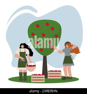 Illustrazione delle persone che raccolgono le mele in autunno. Grafica vettoriale in stile piatto con elementi colorati e vivaci, tra cui cesti e casse Illustrazione Vettoriale