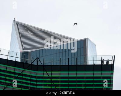 Uccello in cielo mentre la gente guarda la vista dal tetto del Giardino al 120, che si trova nell'edificio Fen Court al 120 di Fenchurch Street. Con 52 Lime Street, lo Scalpel sullo sfondo Foto Stock