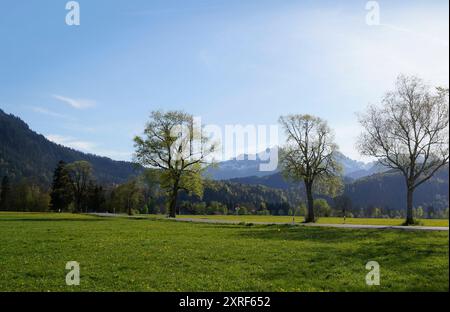 Strada romantica che conduce attraverso i verdi e panoramici prati alpini delle Alpi Bavaresi in una soleggiata serata primaverile (Allgaeu, Schwangau, Baviera Foto Stock