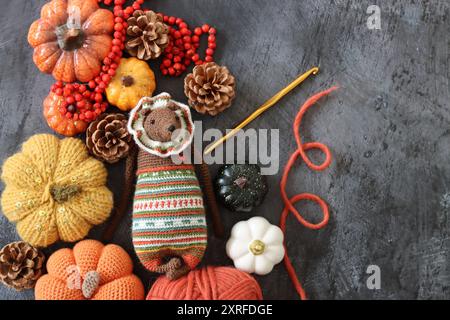 Simpatici giocattoli fatti a mano in filato di lana. Giocattoli all'uncinetto Amigurumi su sfondo grigio scuro con spazio per il testo. Omaggio ecologico per il giorno del Ringraziamento. Stagione autunnale Foto Stock