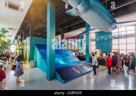 Mostra zoologica presso la filiale del Museo Nazionale delle Filippine a Cebu City Foto Stock