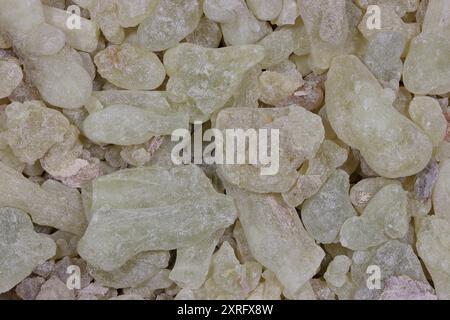 Resina al-Hojari Boswellia sacra di incenso frankincense dell'Oman per uso di fondo Foto Stock