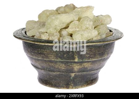 Resina al-Hojari Boswellia sacra di incenso dell'Oman in una ciotola di ottone isolata su sfondo bianco Foto Stock