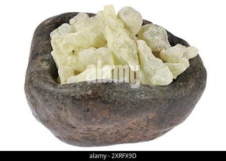 Resina al-Hojari Boswellia sacra di incenso dell'Oman in una ciotola di pietra isolata su sfondo bianco Foto Stock