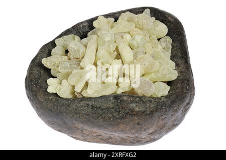 Resina al-Hojari Boswellia sacra di incenso dell'Oman in una ciotola di pietra isolata su sfondo bianco Foto Stock