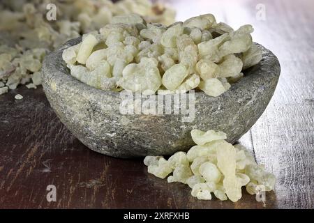 Resina di incenso al-Hojari Boswellia sacra dell'Oman in una ciotola di pietra su un tavolo di legno Foto Stock