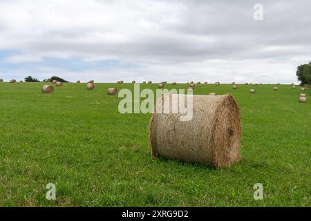 Balle di fieno in campo a fine estate, North Hampshire Downs vicino a Kingsclere, Hampshire, Inghilterra, Regno Unito Foto Stock