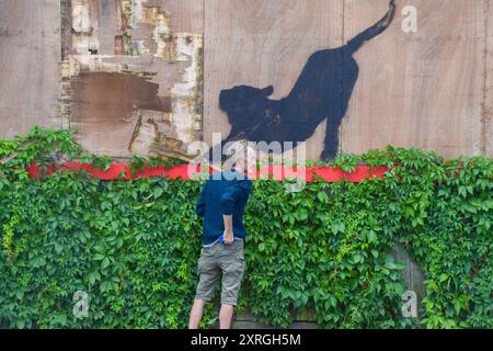 Londra, Regno Unito. 10 agosto 2024. Un uomo cerca di rimuovere una nuova opera d'arte di Banksy su un vecchio cartellone a Cricklewood. In seguito affermò di volerlo portare in un museo locale. L'opera d'arte, raffigurante un gatto selvatico come una tigre o un leopardo, è la sesta nuova opera d'arte in altrettanti giorni a Londra dell'inafferrabile artista di strada. Crediti: Vuk Valcic/Alamy Live News Foto Stock