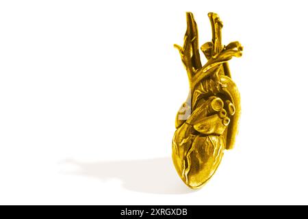 Rappresentazione artistica di un modello anatomico di cuore in oro, enfatizzando la sua complessa anatomia e il suo design. Perfetto per uso decorativo o didattico Foto Stock