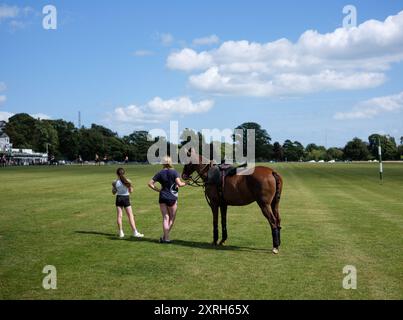 Spettatori che guardano una partita di polo nel Phoenix Park, nella città di Dublino, Irlanda. Foto Stock