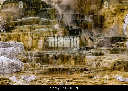 Travertino Terraces, Mammoth Hot Springs, Yellowstone National Park, Wyoming, Nord America Foto Stock