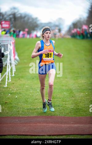 Keely Hodgkinson della Greater Manchester gareggia nella gara Inter Girls ai English Schools Cross Country Championships, Norfolk Showgrounds, Norw Foto Stock