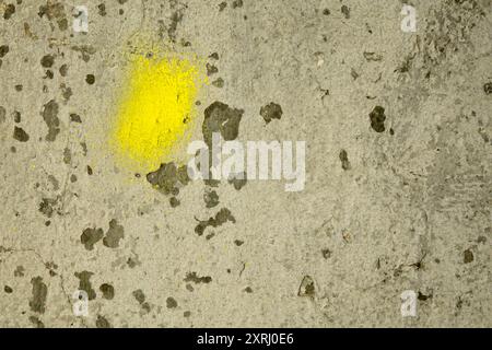 Uno spruzzo giallo vibrante contrasta con una parete in gesso testurizzato. Foto Stock