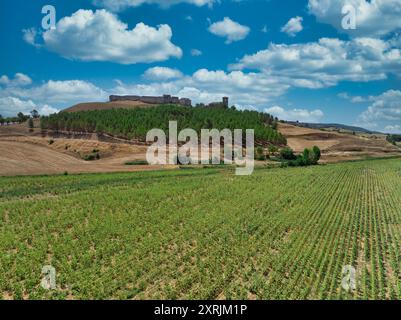 Vista aerea di Huerta de la Obispalia a la Mancha, in Spagna, fortificazione medievale in cima alla collina con piattaforme pentagonali di cannoni a bastione ad entrambe le estremità Foto Stock