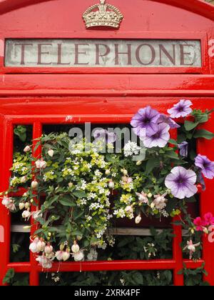 Chiosco telefonico riutilizzato con esposizione di fiori estivi, Bath, Somerset. Temi: Riutilizzo, riciclaggio, evoluzione, cambiamento, pensiero nuovo Foto Stock