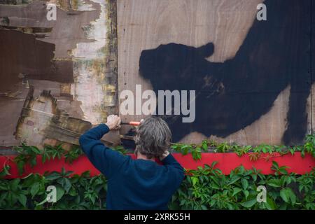 Londra, Regno Unito. 10 agosto 2024. Un uomo cerca di rimuovere una nuova opera d'arte di Banksy su un vecchio cartellone a Cricklewood. In seguito affermò di volerlo portare in un museo locale. L'opera d'arte, raffigurante un gatto selvatico come una tigre o un leopardo, è la sesta nuova opera d'arte in altrettanti giorni a Londra dell'inafferrabile artista di strada. Crediti: Vuk Valcic/Alamy Live News Foto Stock