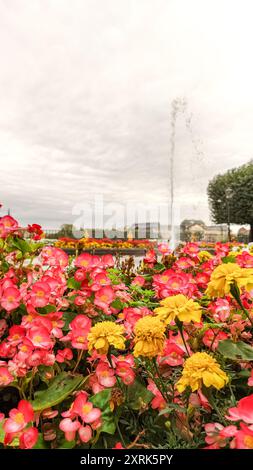 Dresda, Germania - 7 ottobre 2023: Fiori luminosi fioriscono vicino a una fontana Foto Stock