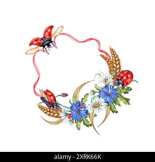 Fiori di mais blu, margherite, orecchie di frumento, nastro rosa, ghirlanda di coccinelle, illustrazione ad acquerello con cornice rotonda. Bouquet di composizione botanica di fiori selvatici Foto Stock