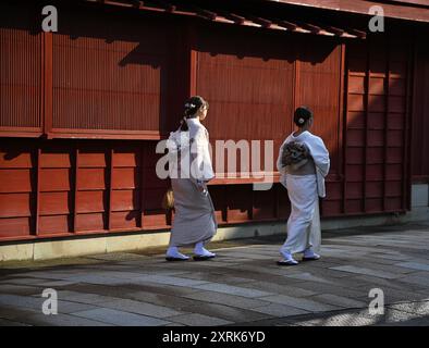 Paesaggio con vista panoramica di Geisha che cammina per le strade del quartiere Higashi-Chaya del periodo Edo a Kanazawa, Ishikawa Giappone. Foto Stock