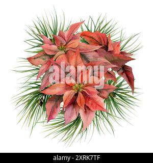 Fiori di punta rossa, foglie di abete rosso. Illustrazione disegnata a mano ad acquerello, boutonniere isolato su bianco. Natale, felice anno nuovo Foto Stock