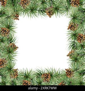 Pino, abete, rami di abete rosso con aghi, coni. Illustrazione disegnata a mano ad acquerello, cornice isolata su bianco. Natale, felice anno nuovo Foto Stock
