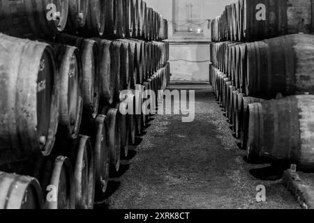 Botti di legno riempite di porto in fase di invecchiamento a Porto. Foto Stock