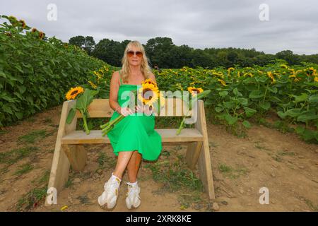 Crawley, West Sussex 11 agosto 2024 Venite a perdervi nella bellezza dei nostri vasti campi di girasole, che si estendono su oltre 12 acri della pittoresca campagna del West Sussex. Con numerosi spot fotografici "indegni" sparsi per Tulleys Sunflower Fields, per tutto il mese di agosto Turners Hill Road, Turners Hill, Crawley, West Sussex. Crediti: Paul Quezada-Neiman/Alamy Live News Foto Stock