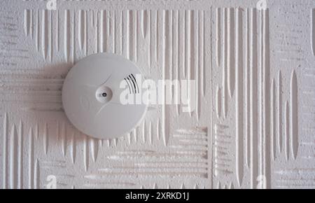 Rilevatore di fumo con dispositivo antincendio montato a soffitto bianco Foto Stock