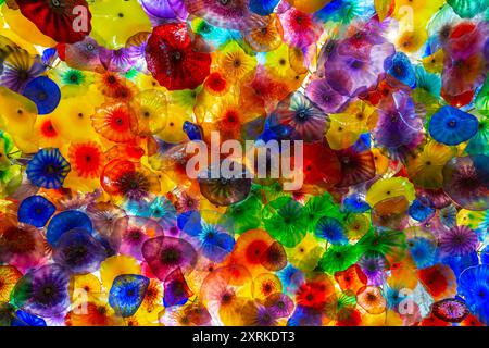 Fiori di vetro colorati di Dale Chihuly al Bellagio Hotel di Las Vegas. Le vivaci tonalità come giallo, arancione, rosso, blu e verde creano uno straordinario display visivo. Decorazione del soffitto dell'hotel Bellagio Foto Stock