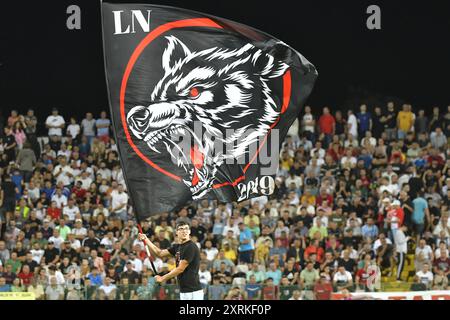 PARTITA DI CALCIO GLORIA BUZAU - FC RAPID 1923 BUCURESTI, SUPERLIGA SUPERBET (10.08.2024), CRISTIAN STAVRI Foto Stock