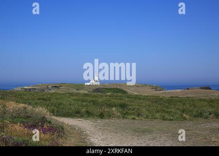 Vista del faro e del Point des Poulins dal sentiero costiero (GR340) a le Palud, Belle Ile en Mer, Bretagna, Francia Foto Stock