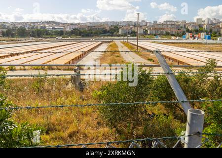 Fattoria di alghe con fotobioreattori per la coltivazione di alghe in un parco eco-business, in una giornata di sole Foto Stock