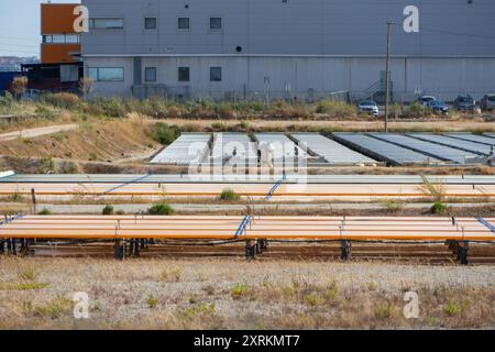 Allevamento di alghe all'aperto che utilizza fotobioreattori per la produzione di biomassa in un concetto di sviluppo sostenibile Foto Stock