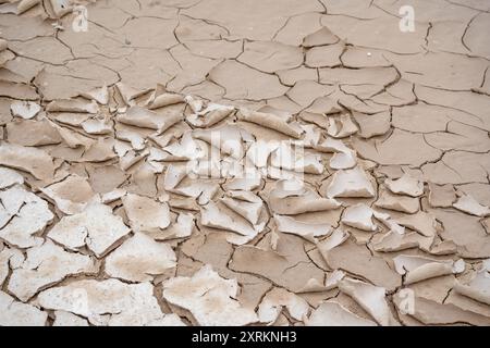 Immagine ad alta risoluzione che mostra una vista dettagliata di una superficie sabbiosa del deserto asciutta e profondamente incrinata, evidenziando i motivi naturali della terra Foto Stock